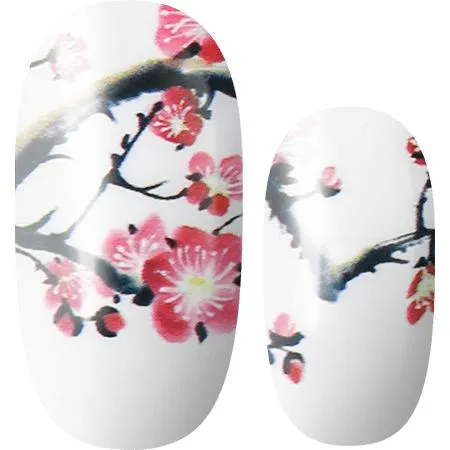 Lily and Fox - Nail Wrap - Cherry Blossom Girl