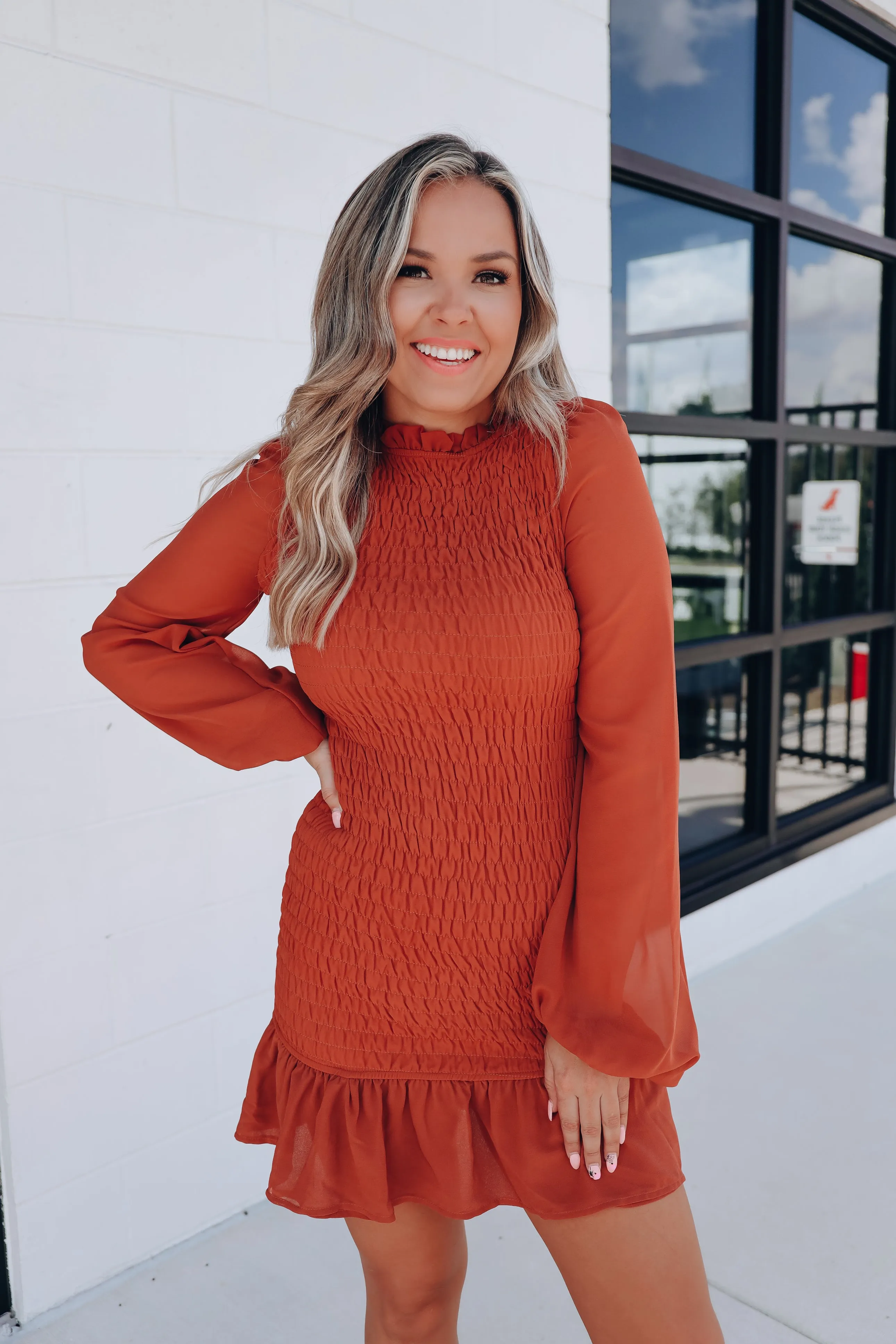 Rena Smocked Sheer Sleeve Mini Dress - Terra Cotta