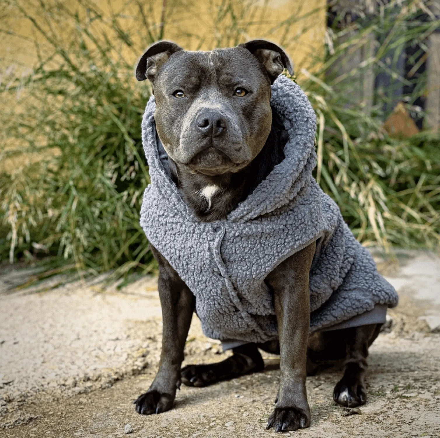 Teddy Sherpa Dog Jacket - Grey